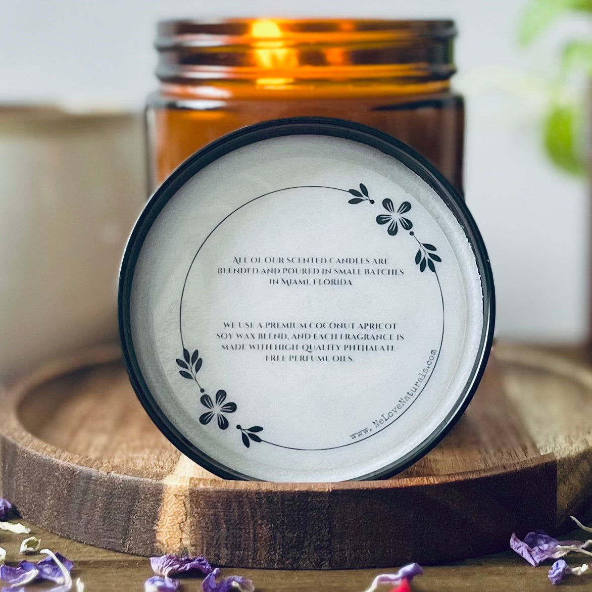 Apple Cinnamon+ Spice |Coconut Apricot Soy Candle in Amber Glass Jar| Large