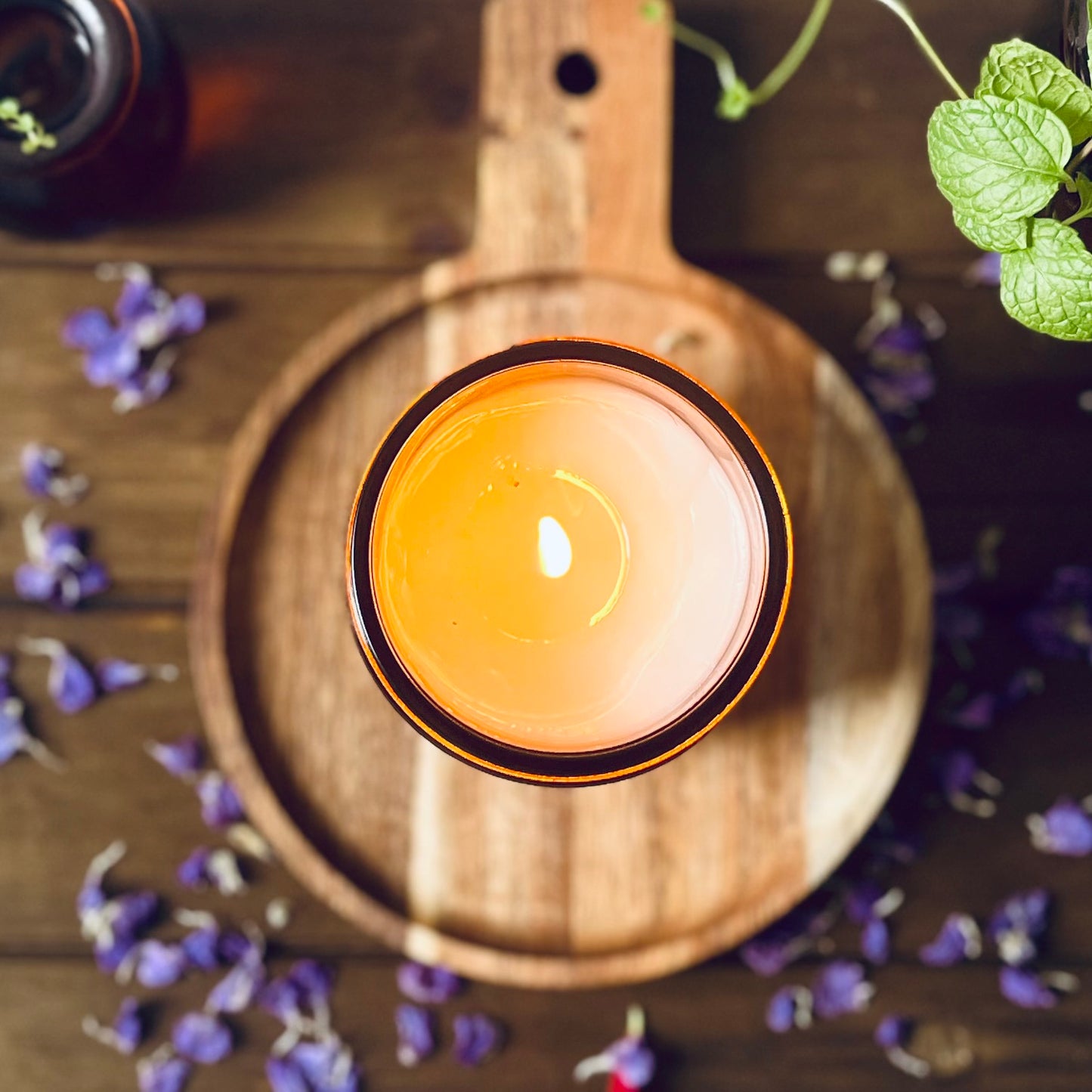 Pumpkin Spice+ Buttercream |Coconut Apricot Soy Candle in Amber Glass Jar