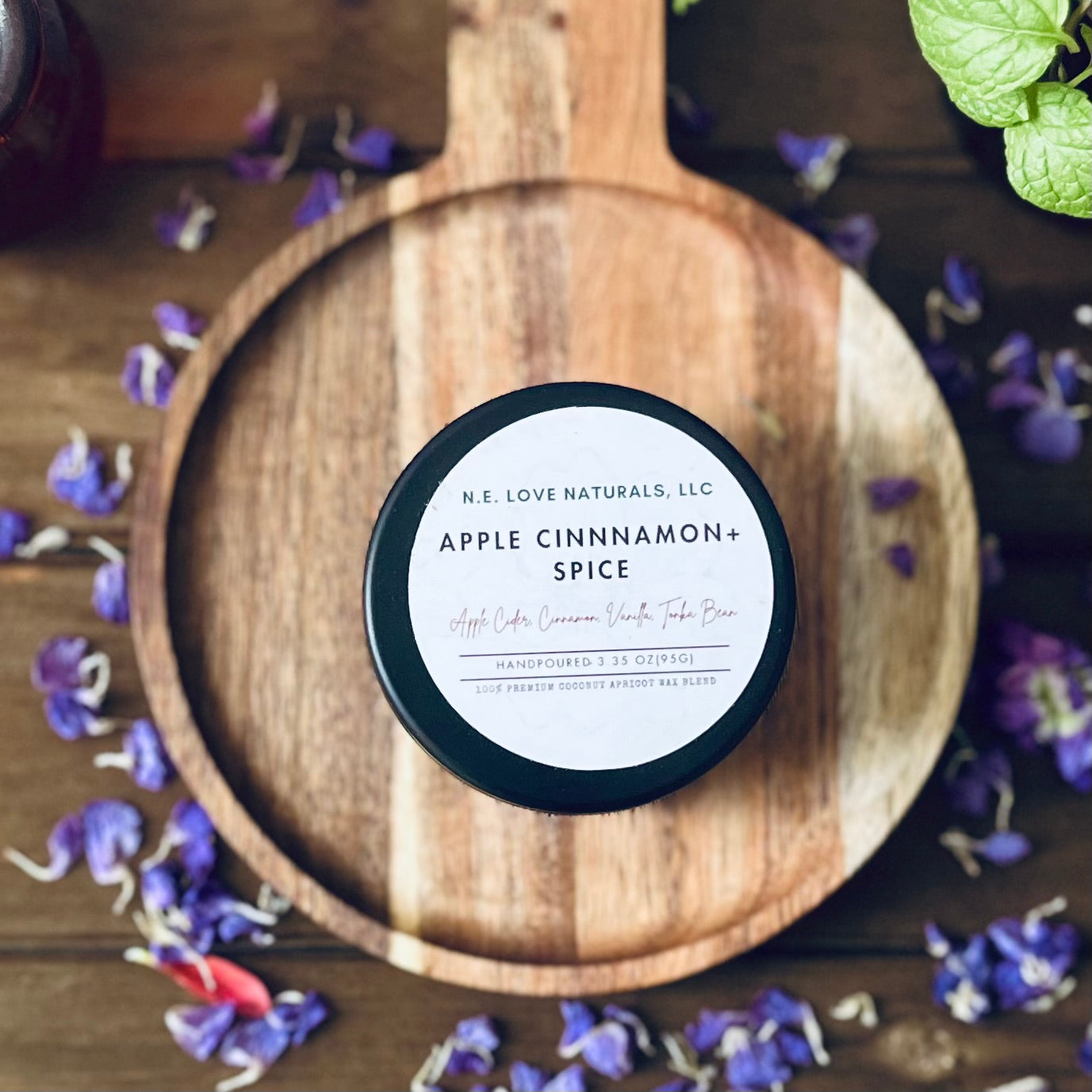 Apple Cinnamon+ Spice |Coconut Apricot Soy Candle in Travel Tin