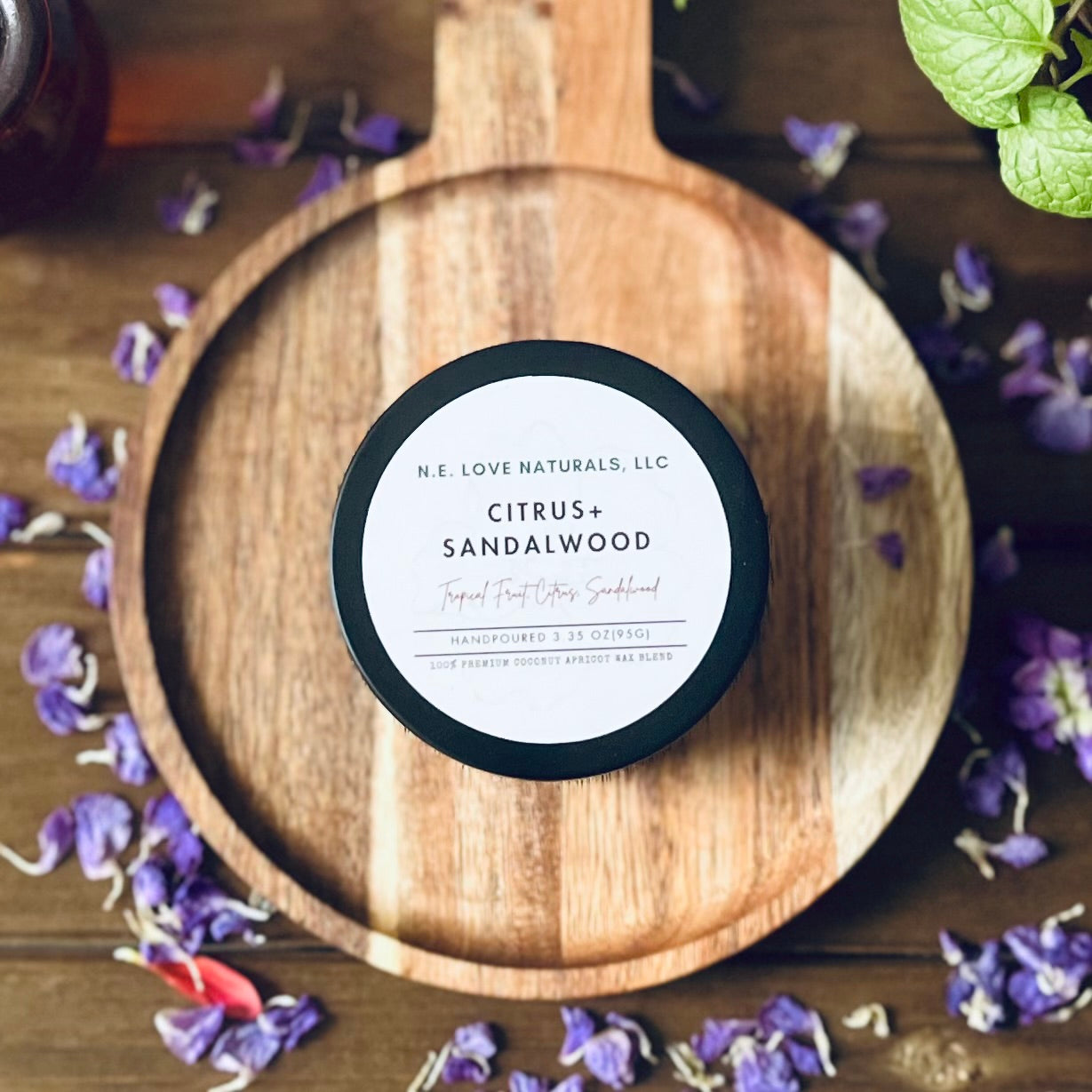 Citrus+ Sandalwood | Coconut Apricot Soy Candle in Travel Tin