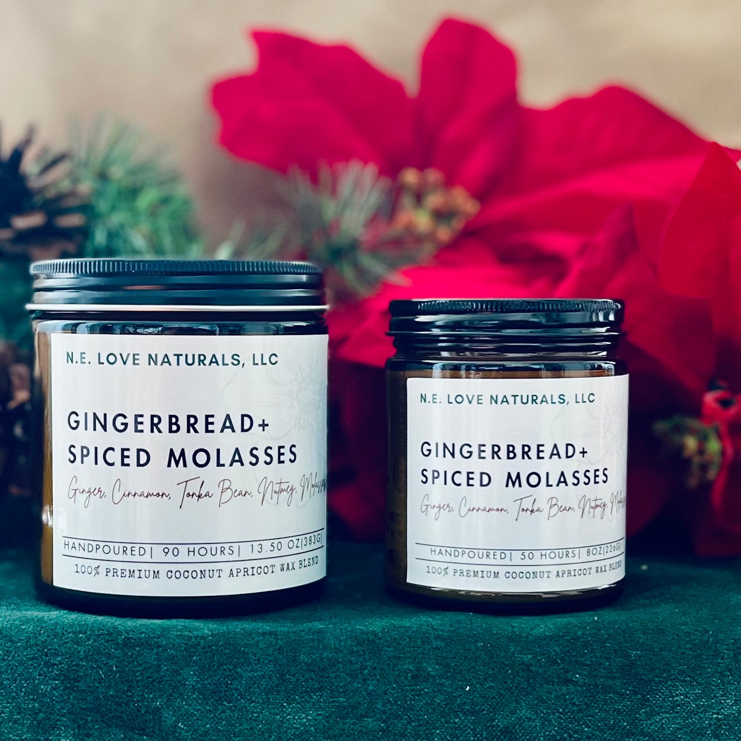Gingerbread + Spiced Molasses |Coconut Apricot Soy Candle in Amber Glass Jar