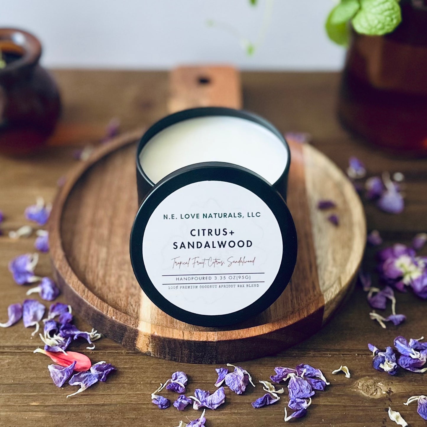 Citrus+ Sandalwood | Coconut Apricot Soy Candle in Travel Tin